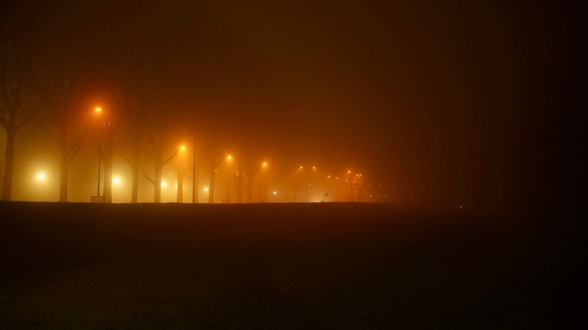 Bornes lumineuses balisant une allée la nuit