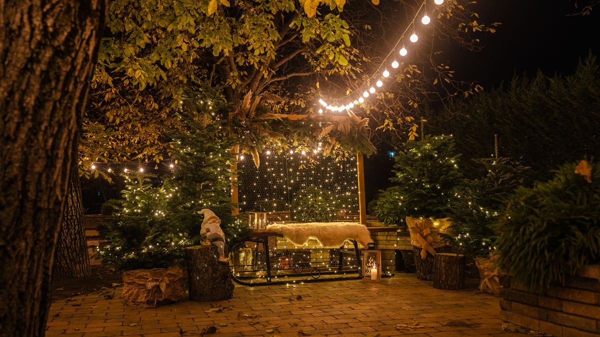 Guirlande guinguette illuminant une terrasse en soirée